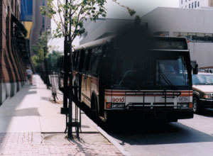 Blind spots like those shown here may appear as the condition worsens.