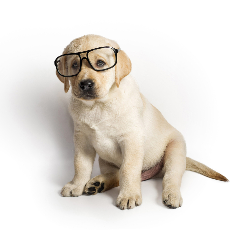 Understanding Farsightedness - Eye Center of Texas